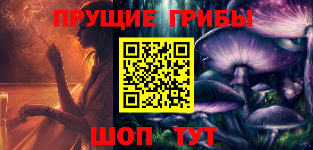 Псилоцибиновые грибы Cubensis Краснознаменск