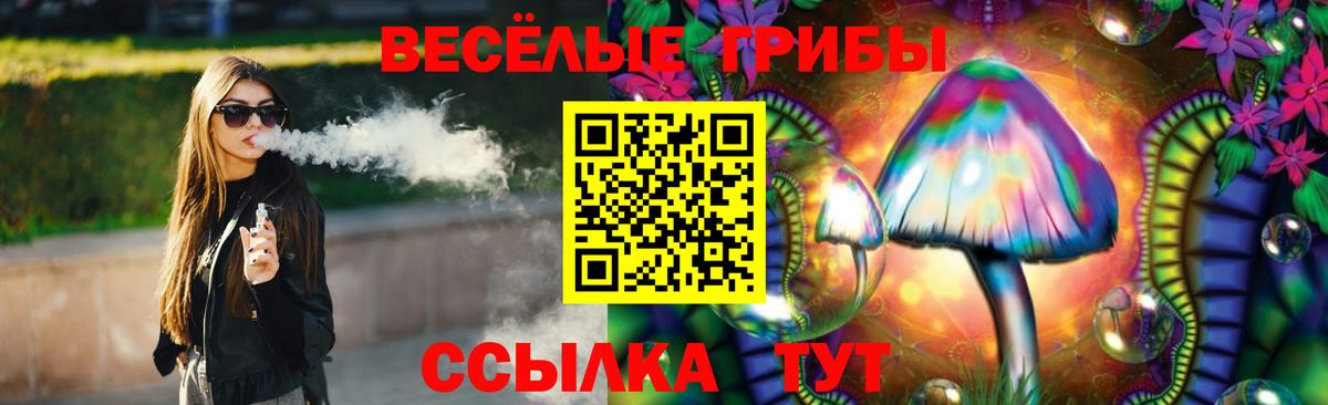 Краснознаменск  Галлюциногенные грибы прущие грибы  Вход с VPN 